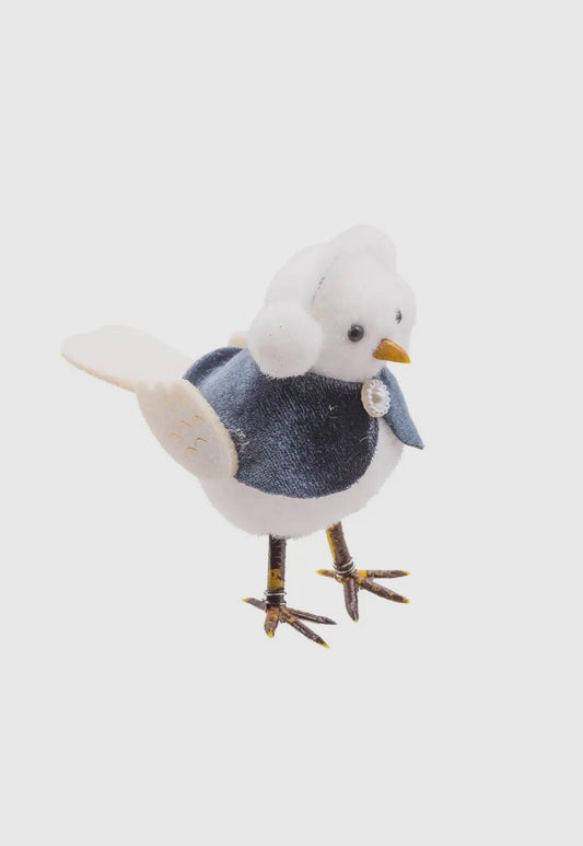 Cute Little Adventurous Bird
