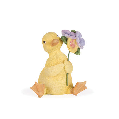 Mr Duck with Pansies